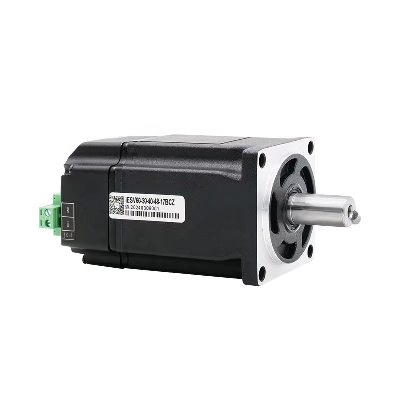 Motor Servo IESV60-30-40-48-17 - Servo Motor 400W With Driver ulasan dan harga